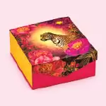 Premium Economy Dry Fruit Box